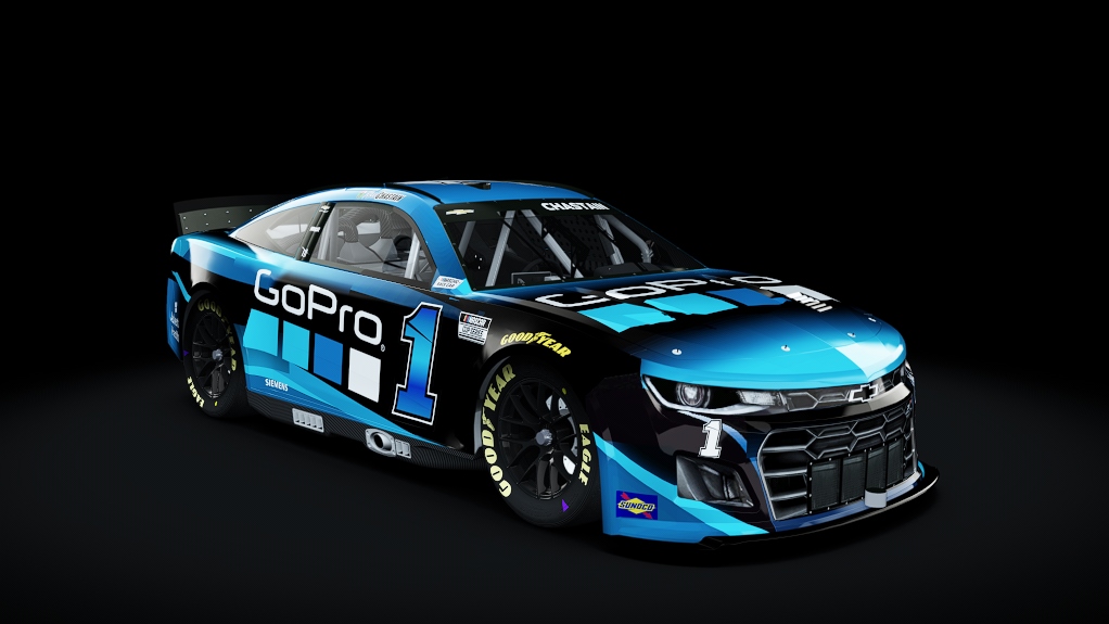 1_Go Pro